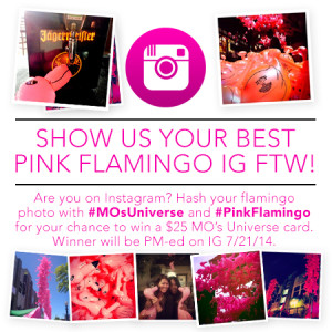 Instagram Pink Flamingo Contest